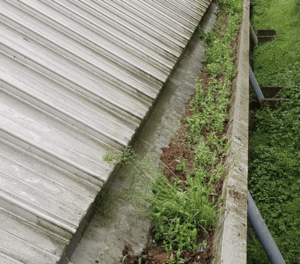 Happy customers in Witney who trust The Roof Moss Cleaners for gutter cleaning services