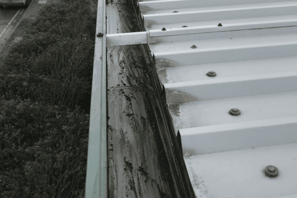 Commercial gutter cleaning specialists in Witney